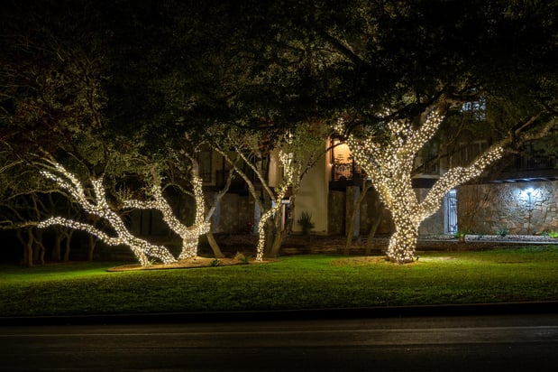 Images Glo Geeks Landscape Lighting Installation