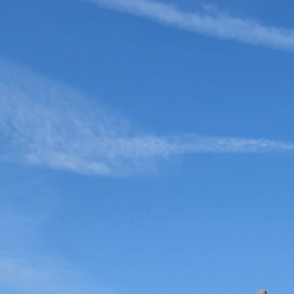 Images MM Roof Cleaning Services (MMRCS)