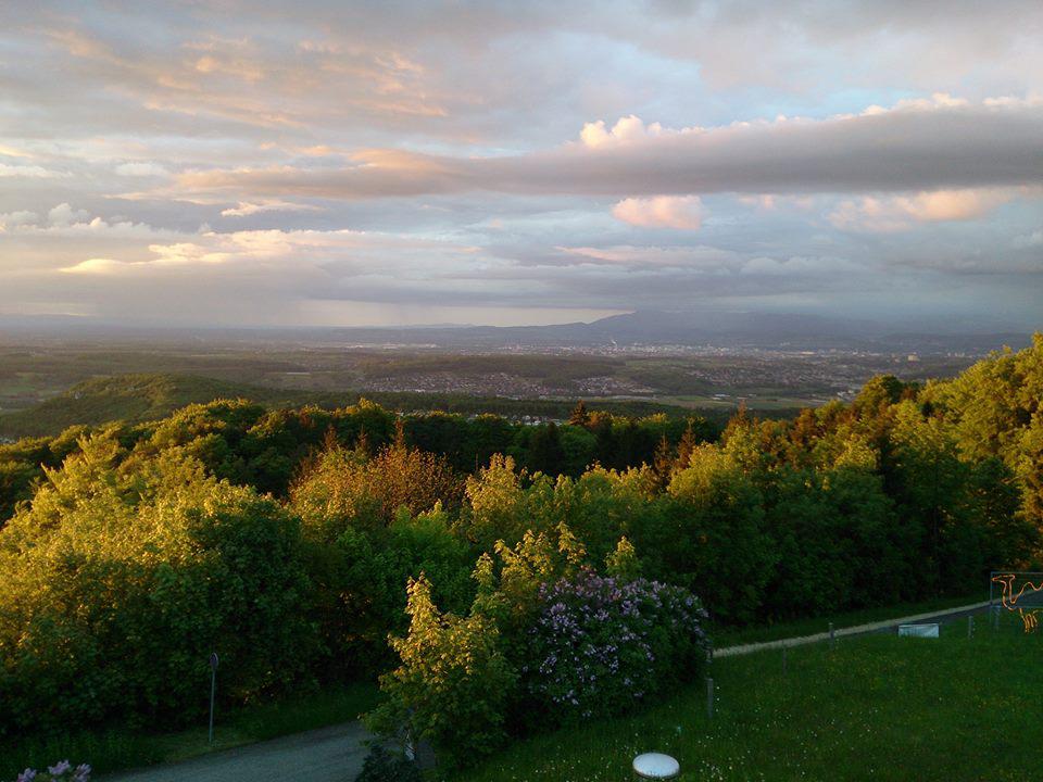 Bergmatten, Hofstetten SO in Hofstetten SO