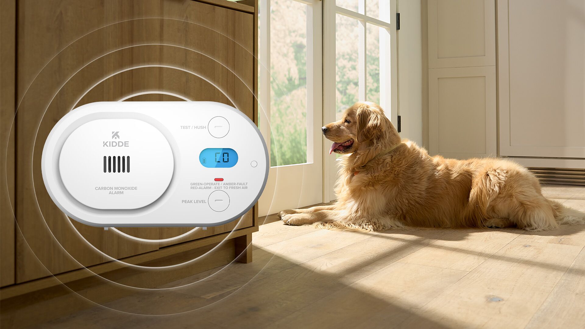 A carbon monoxide alarm to the left, and a dog looking out the window on the right.