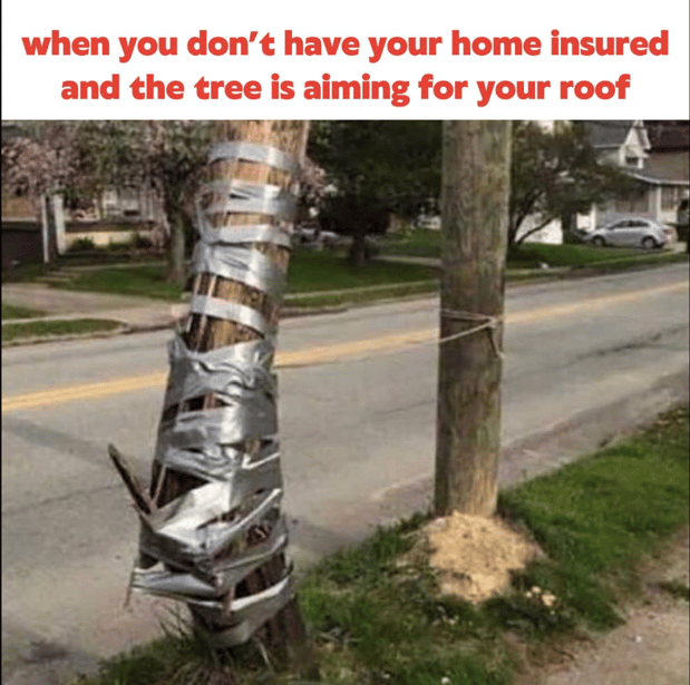 Images Wyatt Dowling - State Farm Insurance Agent