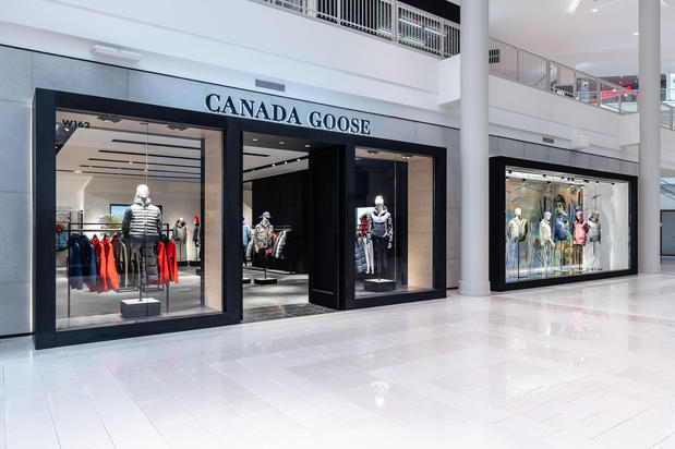 Images Canada Goose Minnesota