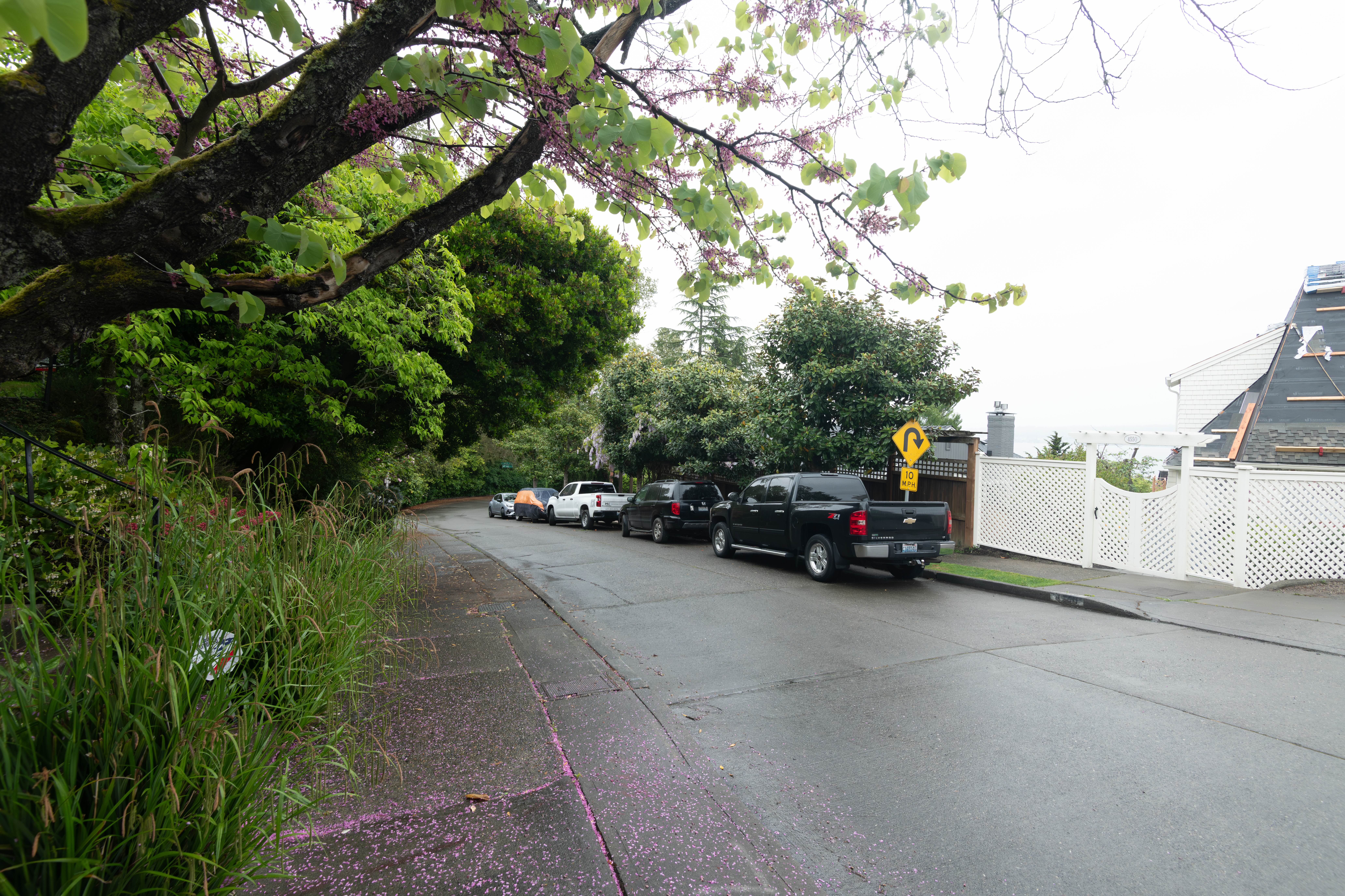 Sidewalk View of Street Parking at the Seattle Sokolove Law Office Building