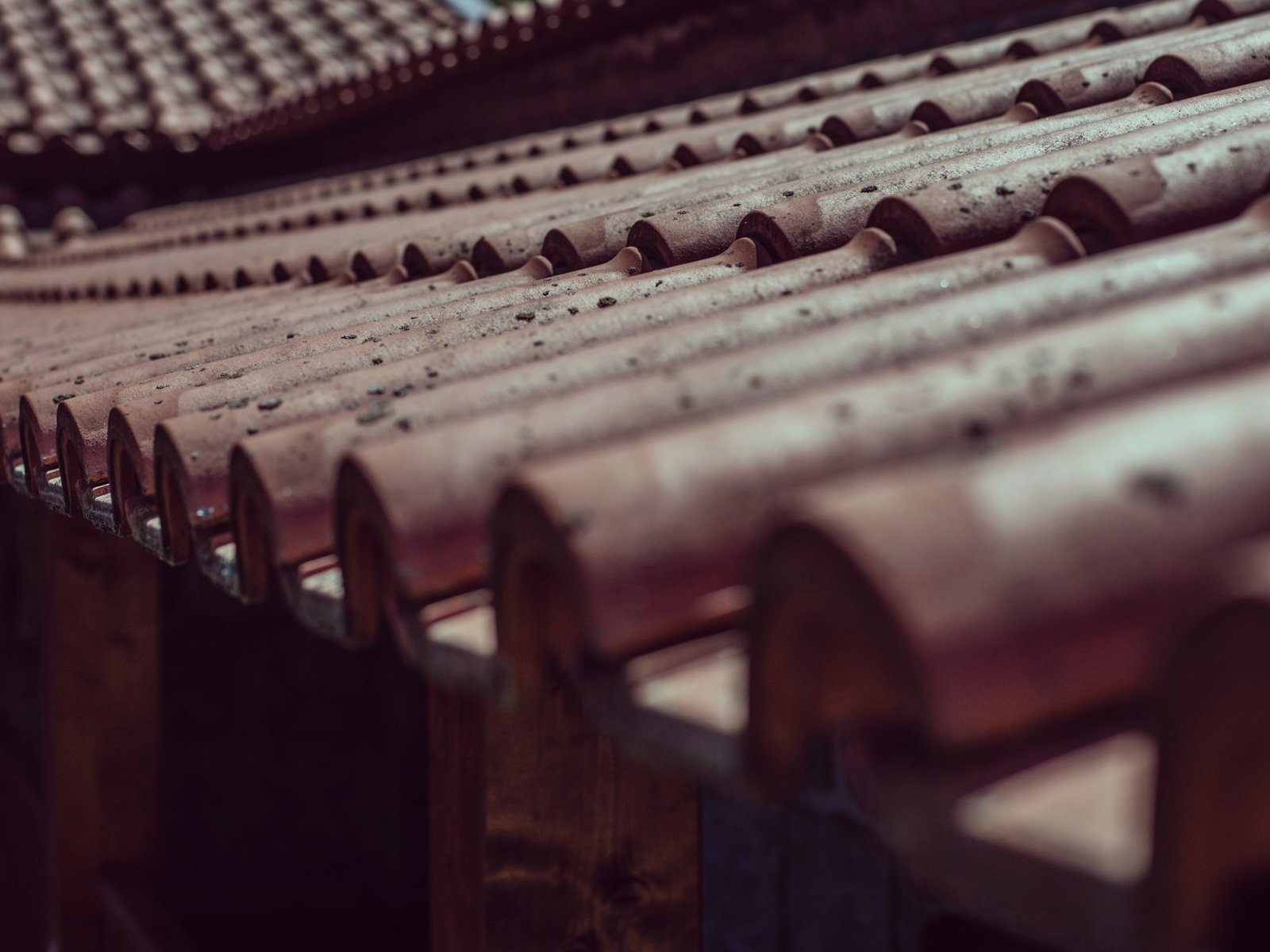 Seipp Roofing, LLC