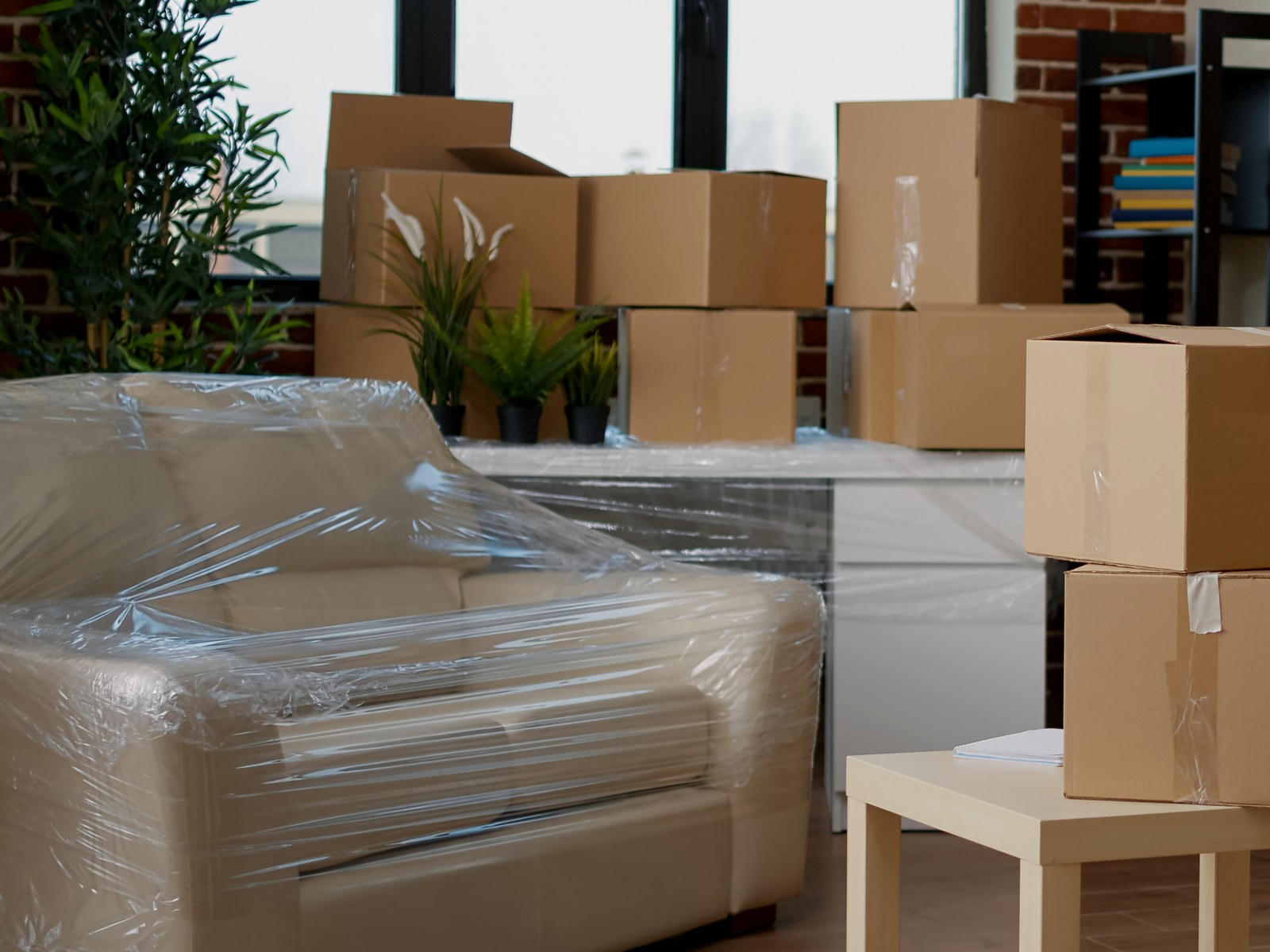 Fort Collins Across The Country Movers