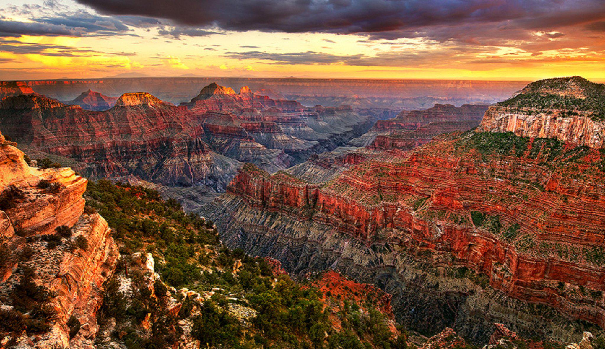 Grand Canyon Pussy