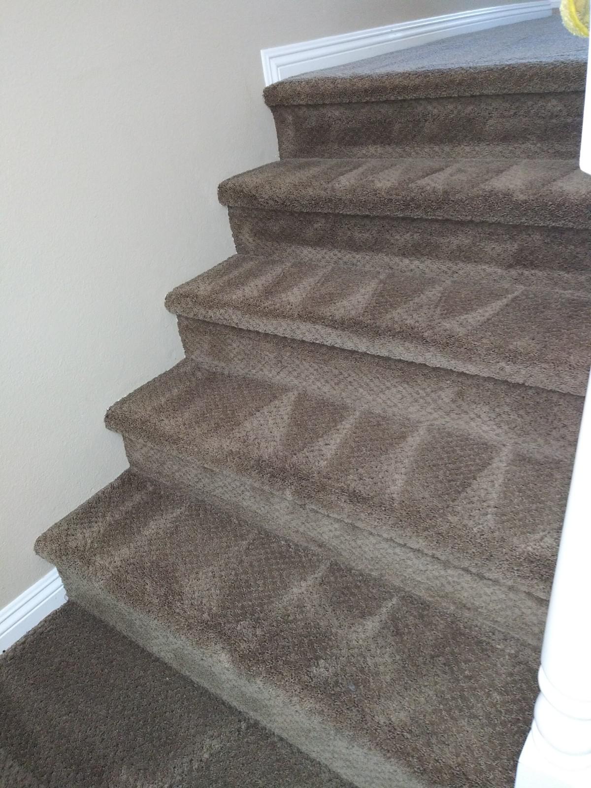661 Carpet Cleaners-carpet cleaning