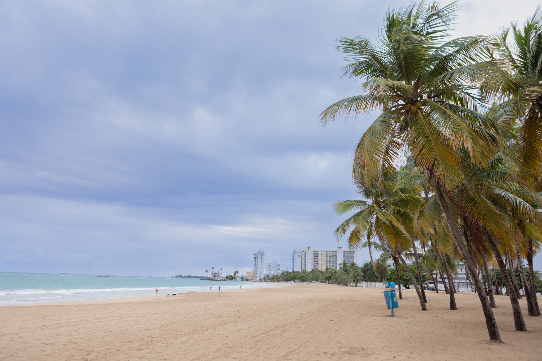 Images The Wave Hotel Condado