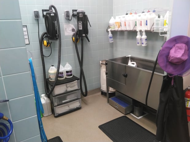 Images Petco Grooming