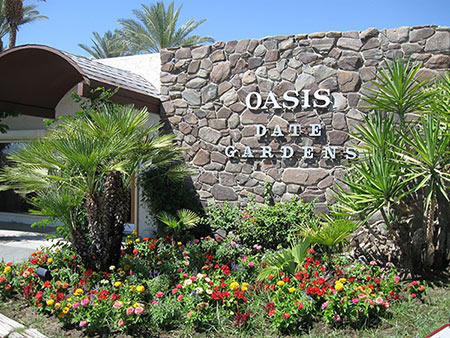 Images Oasis Date Gardens