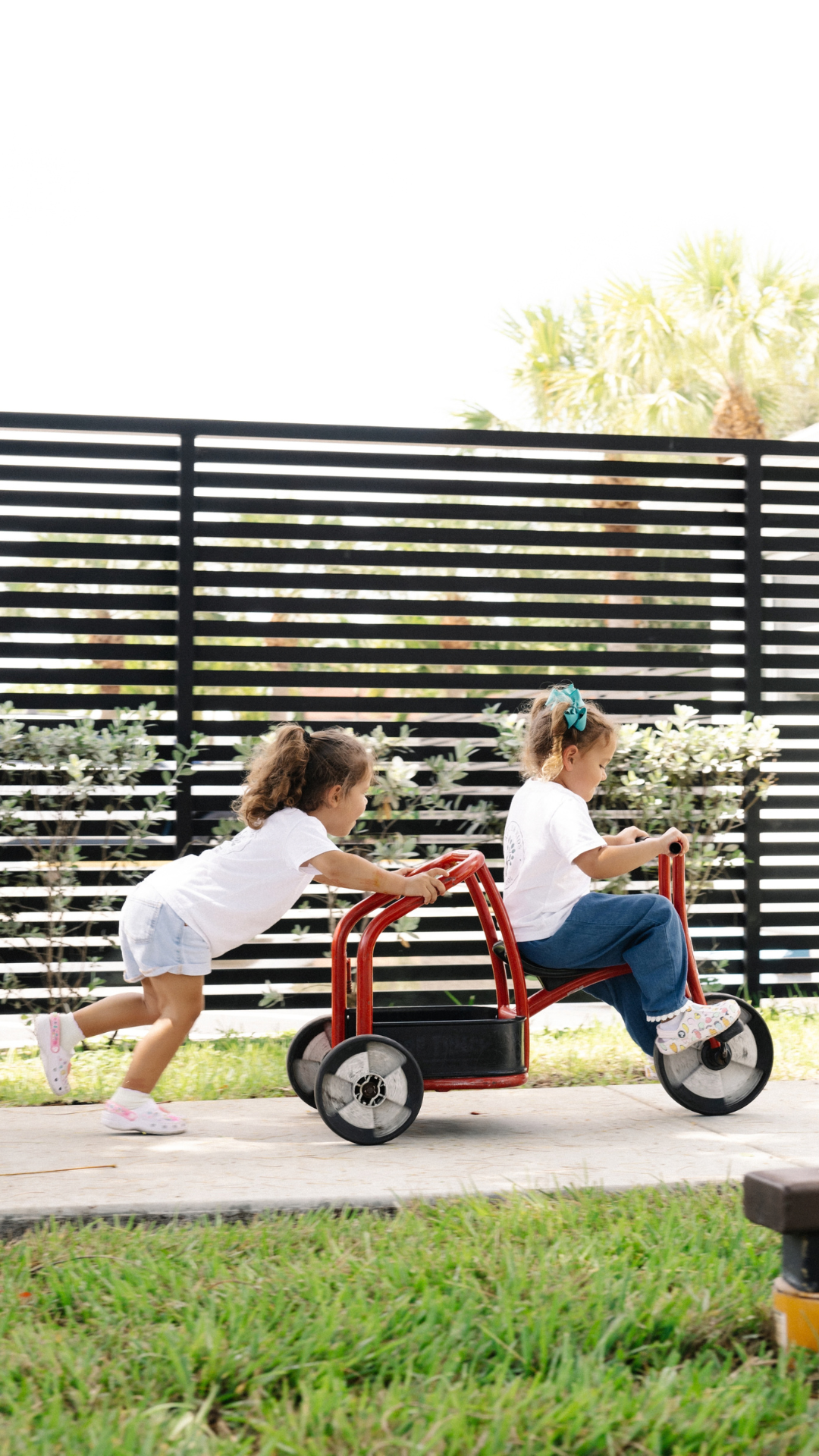 montessori schools in miami shores