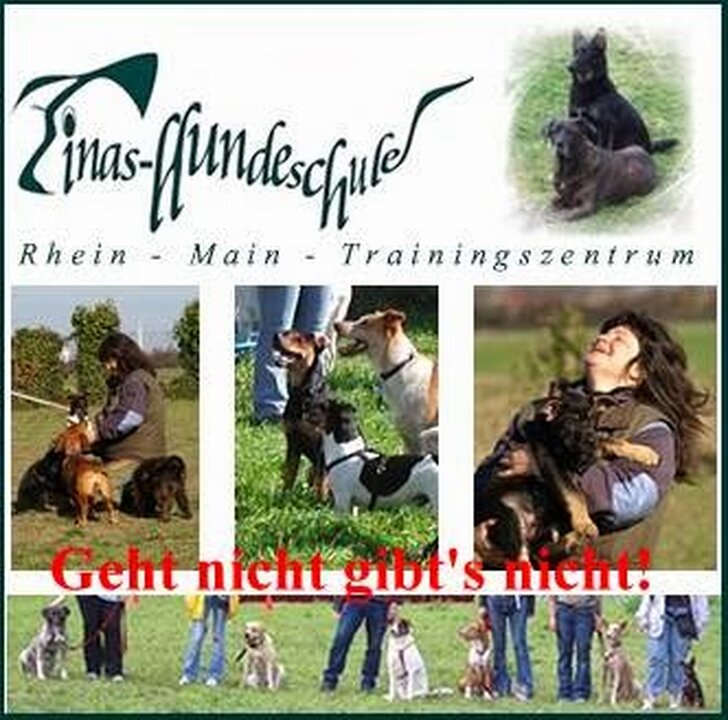 Bild 6 Tinas-Hundeschule & Tierheilpraxis in Flörsheim Am Main