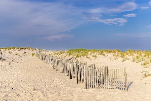 Images Edward Mulderrig Hampton’s Realtor