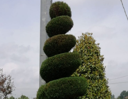 Images Il Giardiniere Cacciolatti Enrico