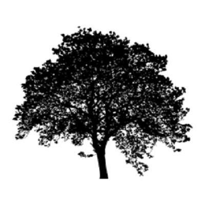 Maple Tree Investments LLC Logo