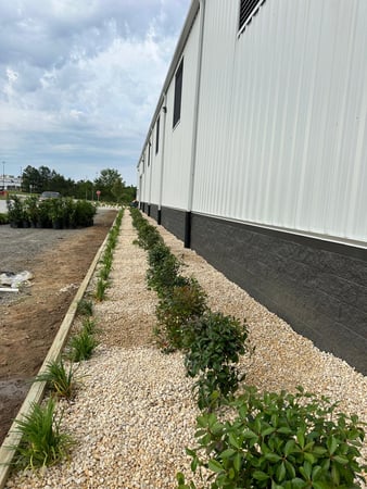 Images Juan Mata Lawn Care Services