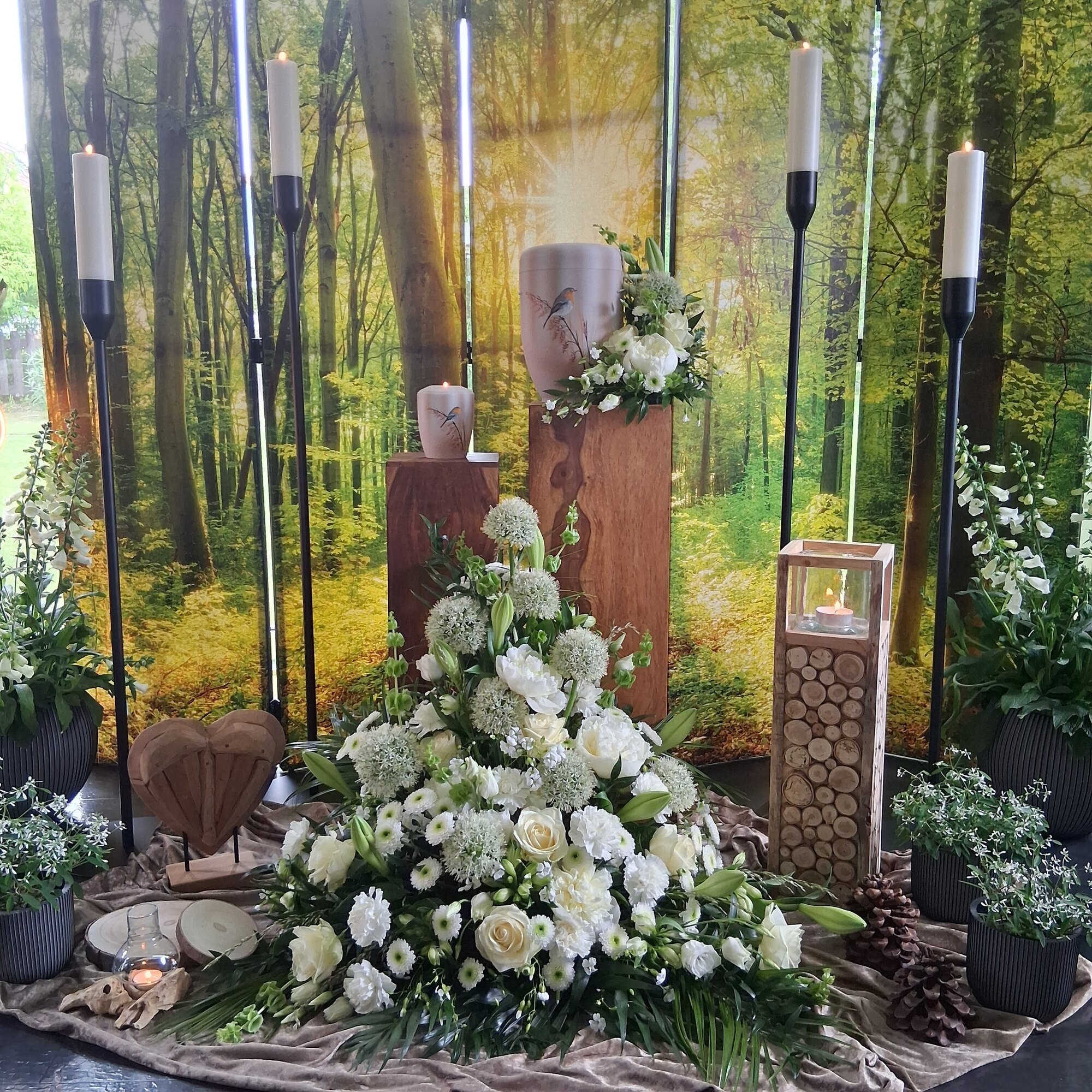 Albatros-Bestattungen, Rudolstädter Straße 156 in Erfurt