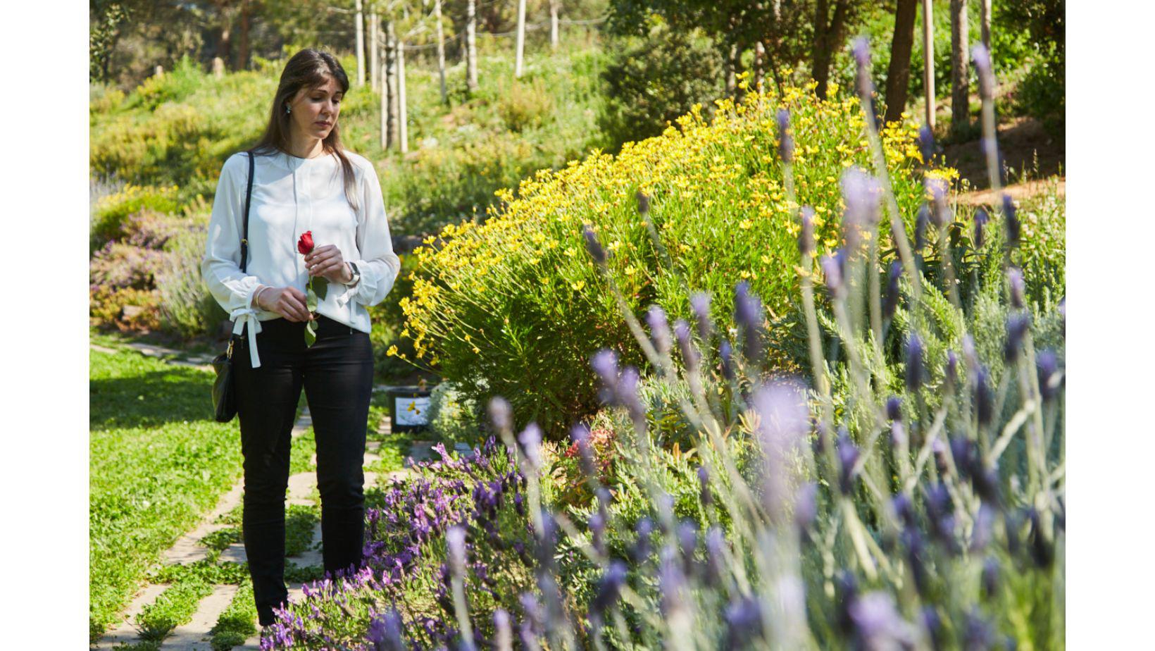 Cementiri Comarcal Roques Blanques 100