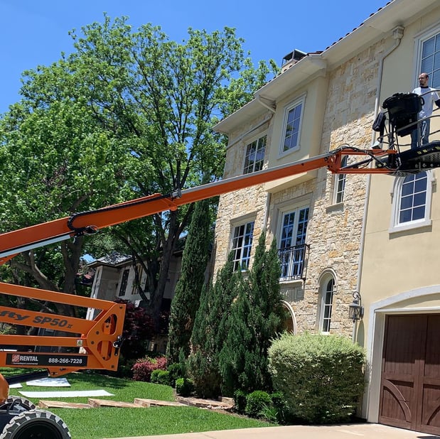 Images The Brazilian Painter