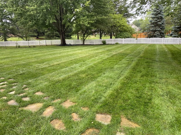 Images Rooted Lawn & Landscape