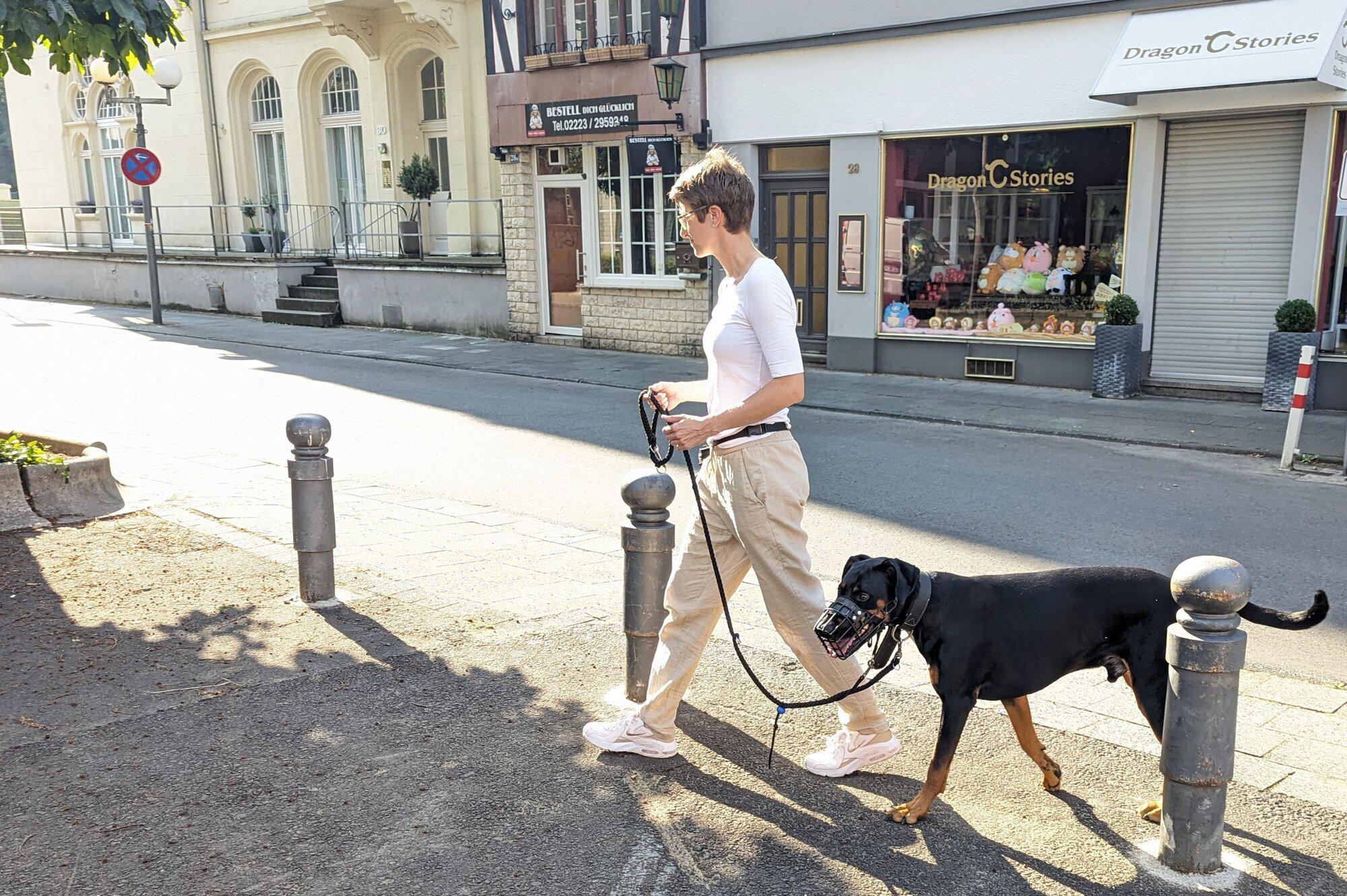 Bild 2 Katrin Salzsieder - Coaching für Mensch und Hund in Gummersbach