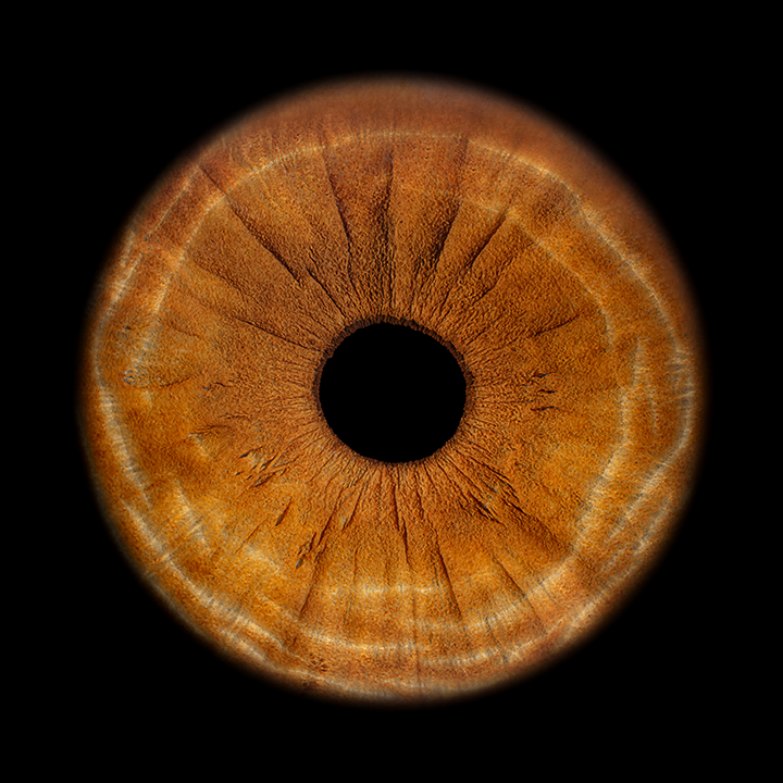 Bilder Müller Optik AG