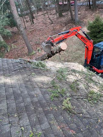 Images McIntyre's Tree Service
