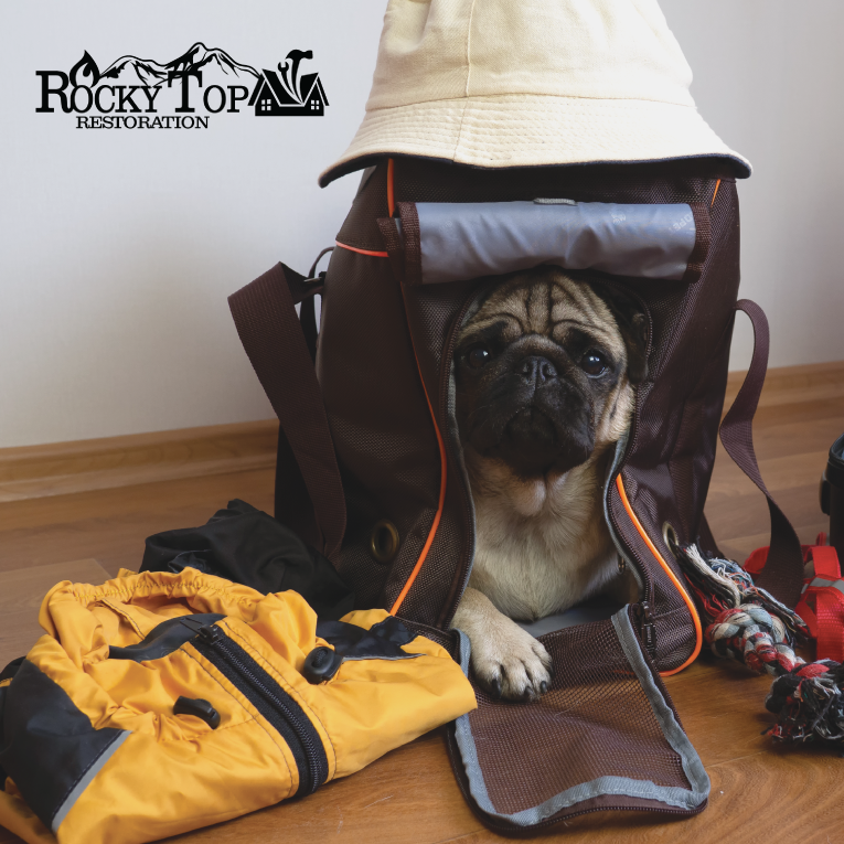 Emergency can strike in the blink of an eye. Although, you may have a plan for your family, do you have a preparedness plan for your pet? Learn more about how we think you should get your furry friends ready! https://rockytoprestoration.com/uncategorized/do-you-have-an-emergency-preparedness-plan-for-your-pet-you-should/