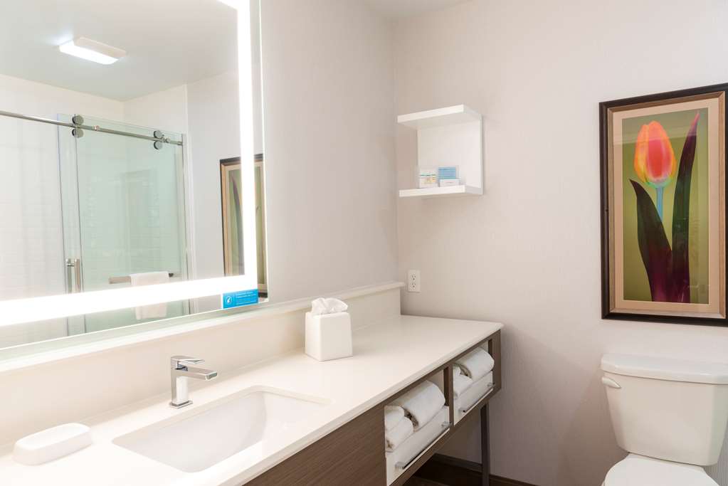 Guest room bath Hampton Inn Holland Holland (616)399-8500