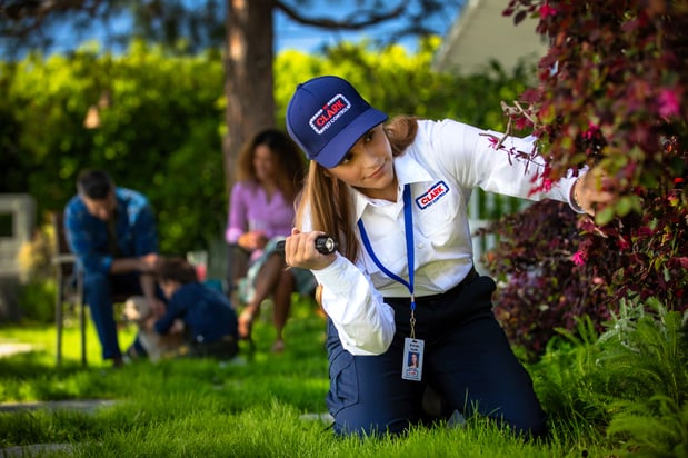 Images Clark Pest Control