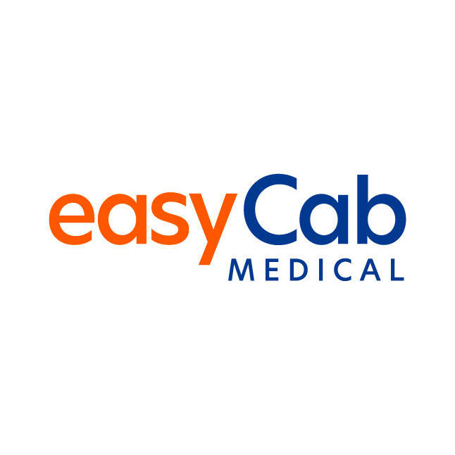 easyCab AG Logo