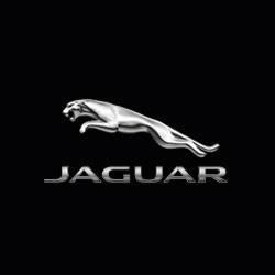 Jaguar Northfield Logo
