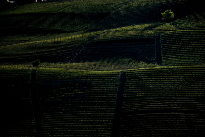 Images Agricola Molino