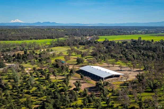 Images Davenport Real Estate Group | Keller Williams Bay Area Estates