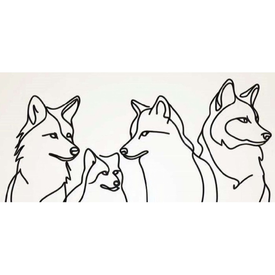 Coyote Storage