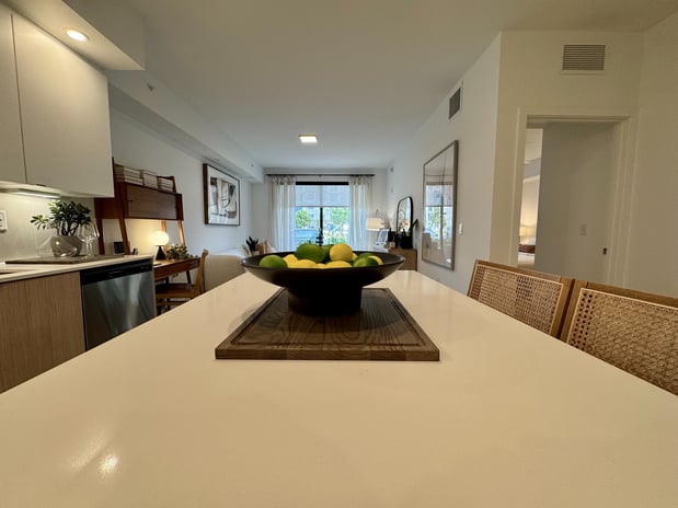 Images Caroline Golden Glades