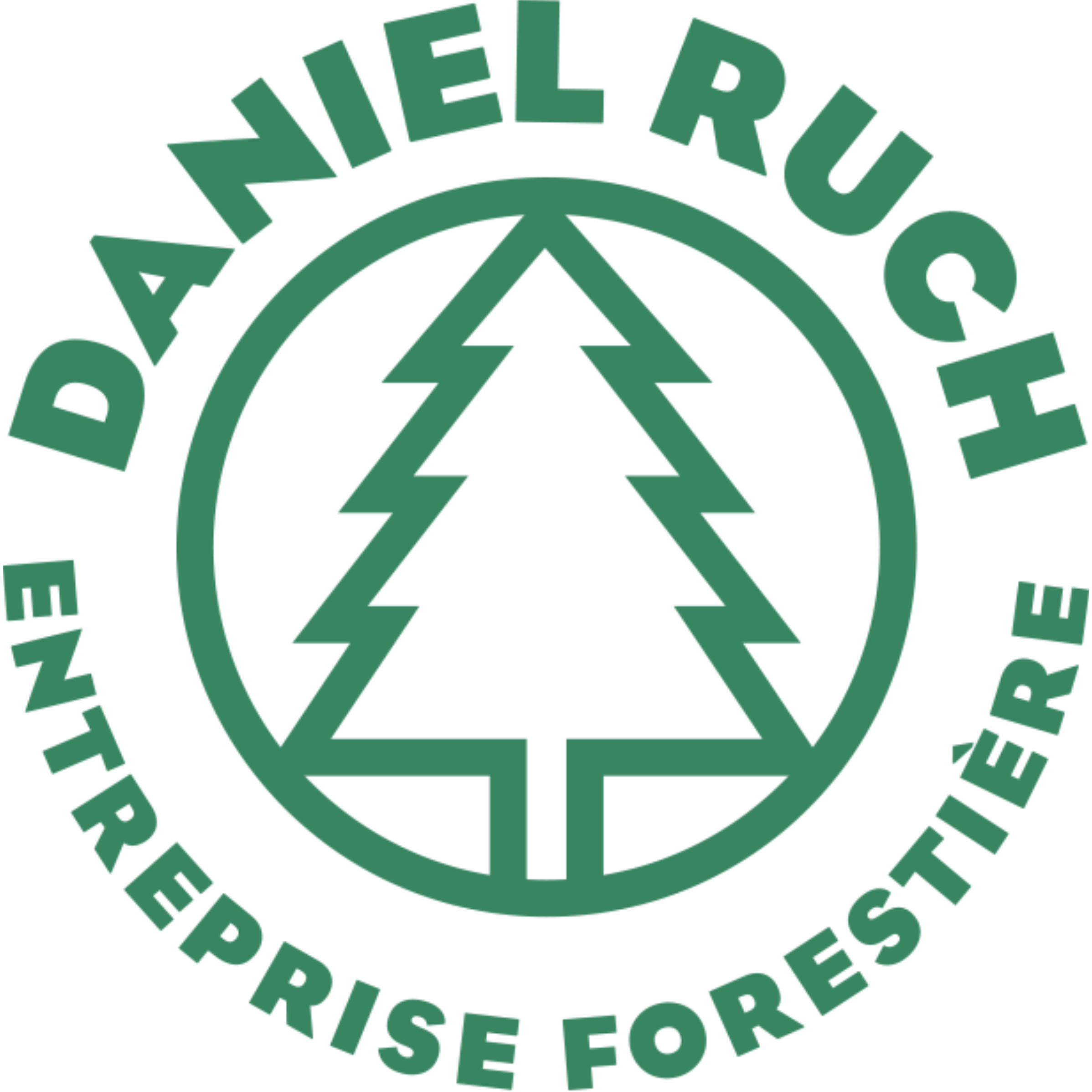 Entreprise forestière Daniel Ruch SA Logo