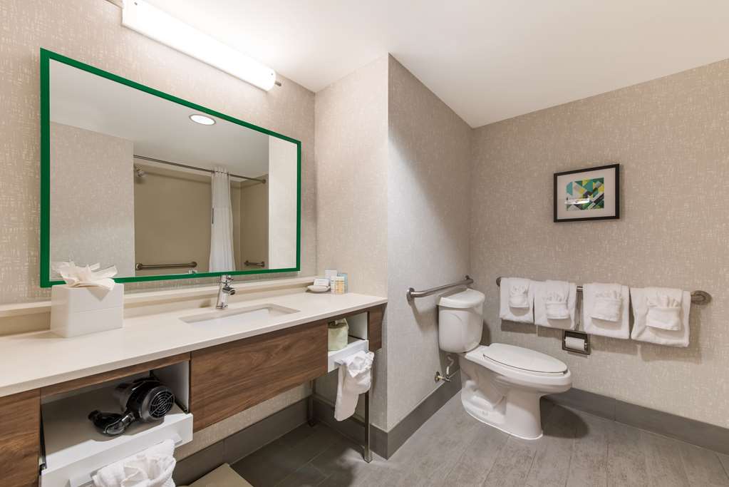 Guest room bath Hampton Inn & Suites Charlotte-Airport Charlotte (704)394-6455