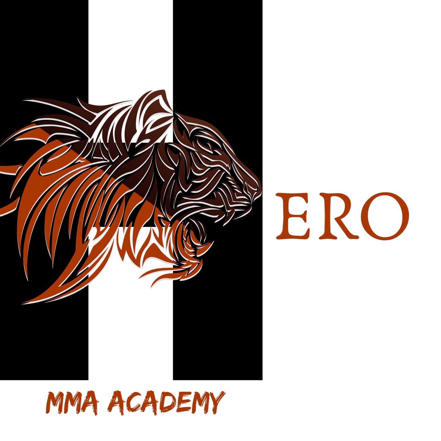 Hero MMA Academy Logo