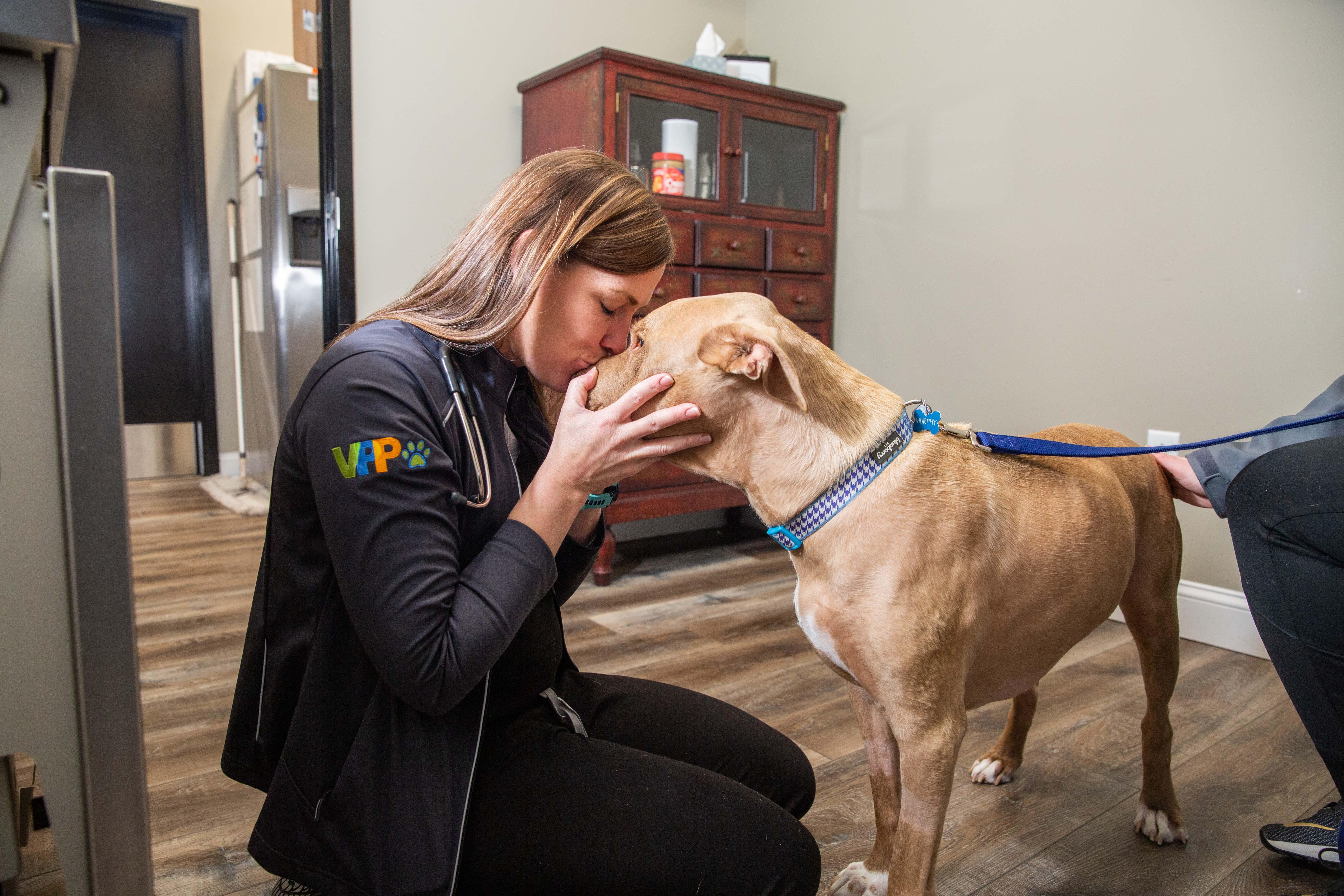 This sweet pup gets some love from one of our compassionate Veterinarians. At The Pet Doctor - Cottleville, we understand how much your pet means to you and your family because we are pet-lovers ourselves!