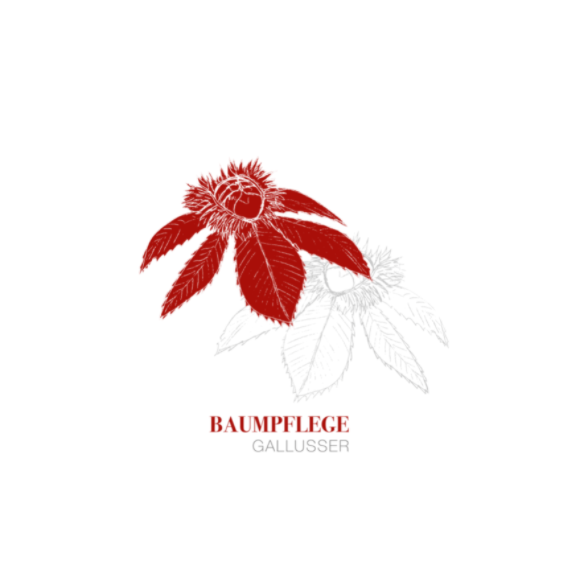 Baumpflege-Gallusser Logo