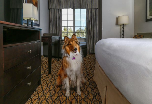 Images Holiday Inn West Yellowstone by IHG