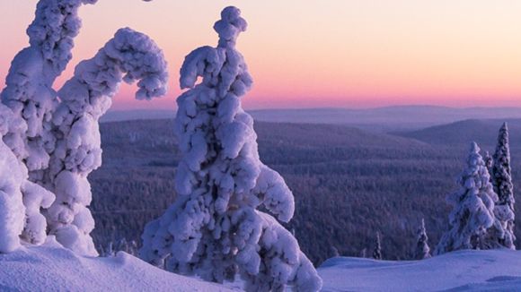 Images Ylläksen Kiinteistövälitys LKV