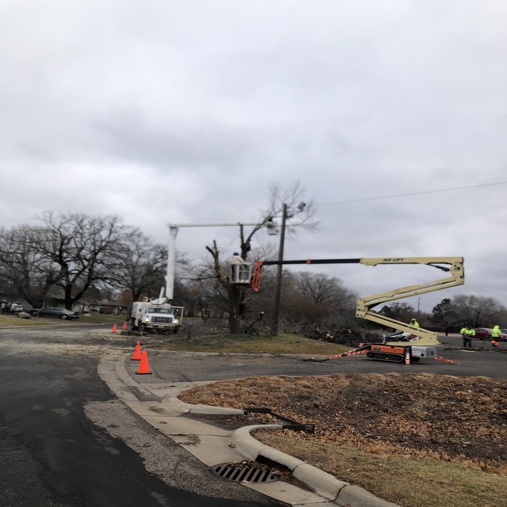 Images Central MN Tree Service