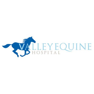 Valley Equine Hospital Logo
