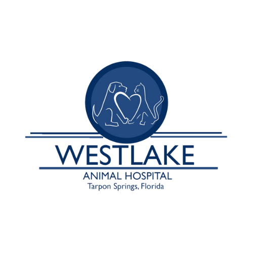 Westlake Animal Hospital - Tarpon Springs, FL 34689 - (727)938-1575 | ShowMeLocal.com