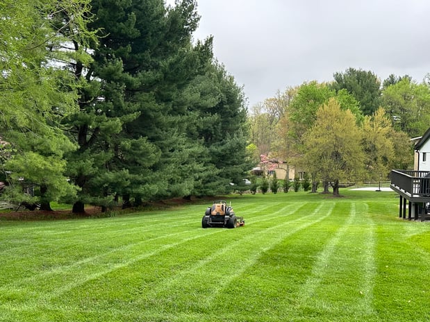 Images Skye Landscaping