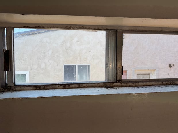 Images 24H Mold Inspection of Newport Beach