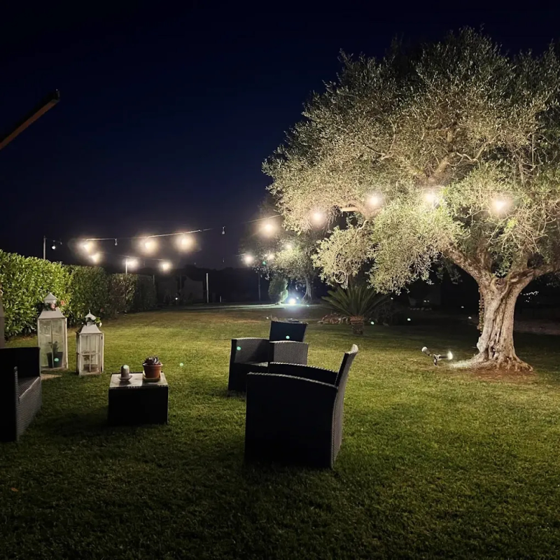 Images Oltre Il Giardino Location