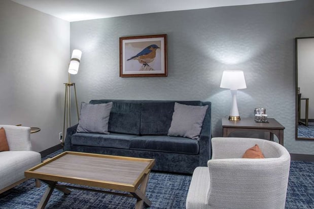Images DoubleTree by Hilton Hot Springs